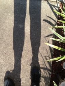 Me and My Shadow 